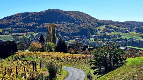 Foto von Susi Puhl entlang der Tour