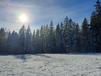 Foto van Rudi langs de tour