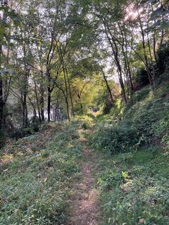 Fotografia z andrea calabria na trase