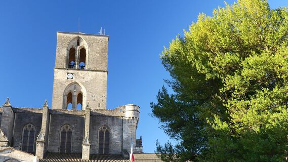 Cathedrale_St-Fulcran_Lodeve_-_E_Brendle_1