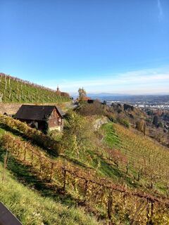Aussicht Richtung Weinweinberge mit kleinem Häuschen