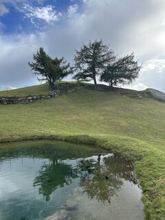 Fotografija s spletne strani Bernd Rodekohr na poti
