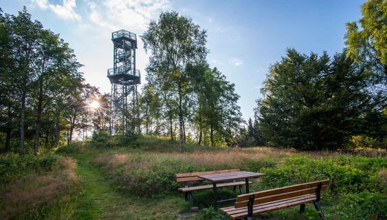 Turm auf dem Wilzenberg
