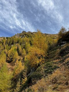 Zdjęcie z Marisa scafetta wzdłuż trasy