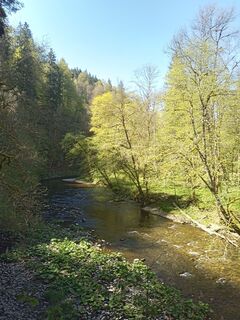 Foto von Laifernorbert entlang der Tour
