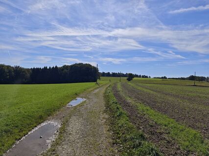 Photo de Björn Heun le long du parcours