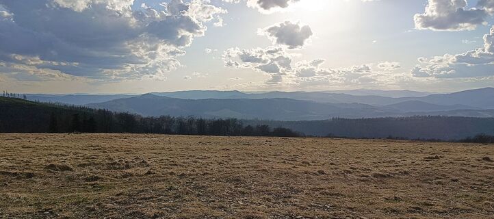 Fotografija s spletne strani Romek Dwornik na poti