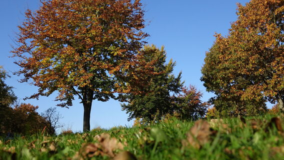 Herbstliche Impressionen