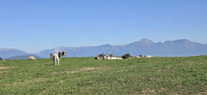 Foto de Srečko Lašič a lo largo del recorrido