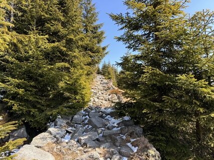 Fotografia z Natur_erleben_dg na trase