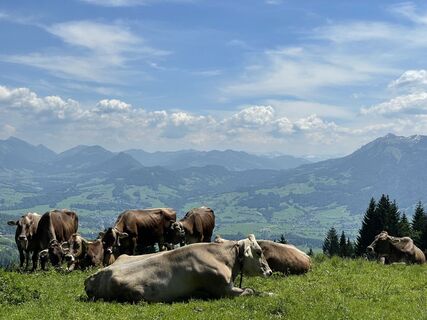 Foto von Piotr Welniak entlang der Tour