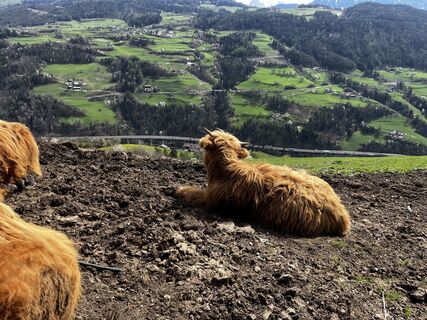 Fotografija s spletne strani Stefano “Iddo” na poti