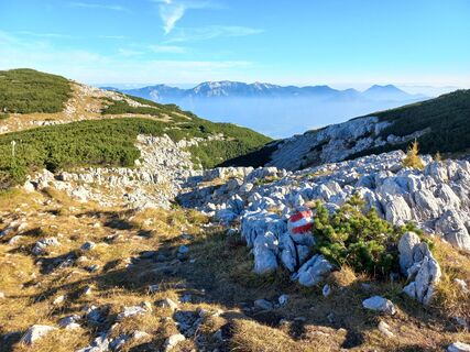 Toter Gebirge im Hintergrund