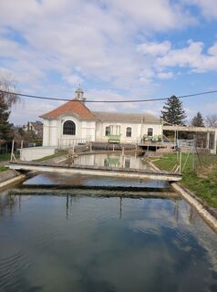 Foto de Anita Stadtherr a lo largo del recorrido