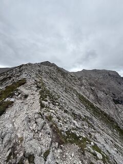 Photo de Alexandra le long du parcours
