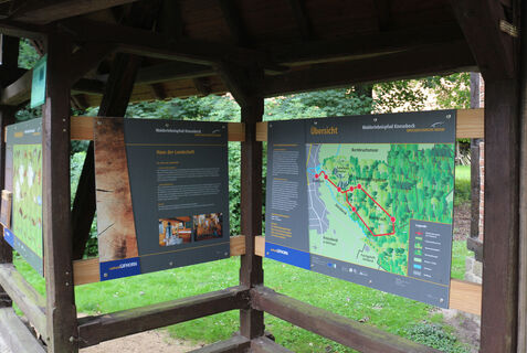 Schautafeln Walderlebnispfad Knesebeck