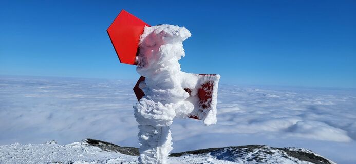 Fotografia z Igor napast na trase