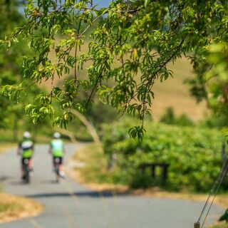 Radidylle Südburgenland