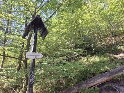 Fotó a nordbergschnecke honlapról a túra során