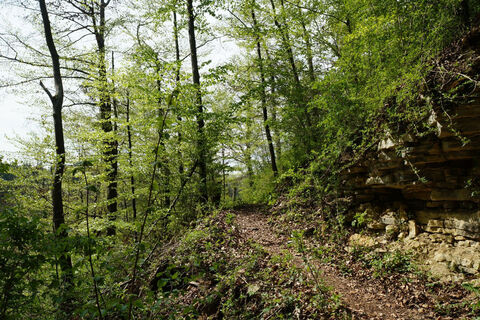 Eyachtal-Rundweg