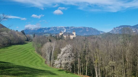 Photo de Upandaway le long du parcours