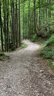 Photo de outdoor_rue le long du parcours