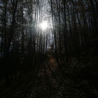 Fotografia z Viliam Beresik na trase