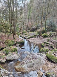 Fotografia z Markus Bischof 3 na trase