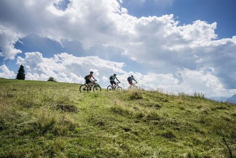 Mountainbike E-Bike_Wilder Kaiser_Foto Sternmanufaktur (136).jpg