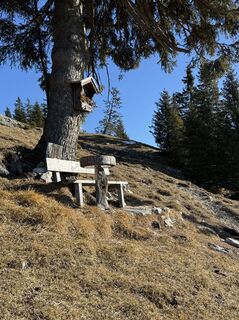 Fotografija s spletne strani Mea Mira na poti