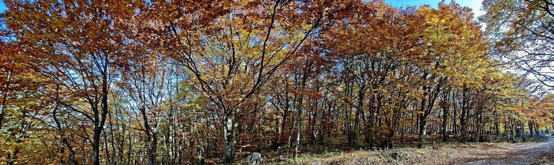 Foto fra Bob Moh underveis på turen