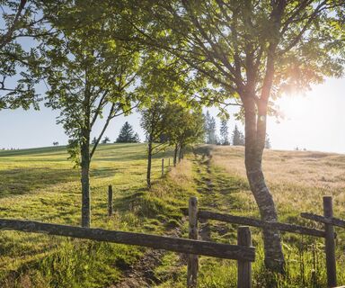 Wanderweg