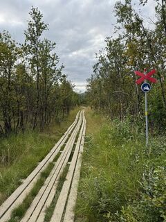 Fotografia z Justin Rider na trase