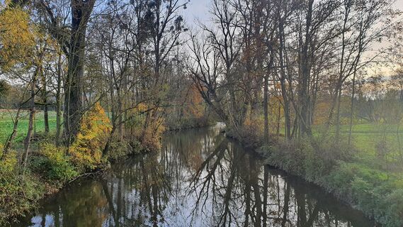 Innbach (Trattnach)
