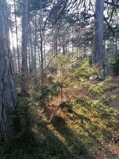 Foto fra Dragoljub Ilic underveis på turen