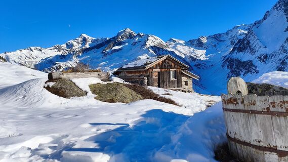 Photo de walrei le long du parcours