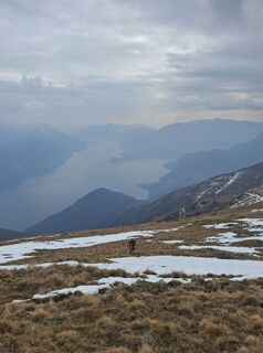 Zdjęcie z Marco Pezzuolo wzdłuż trasy