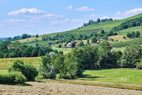 Weinberge bei Bretzfeld