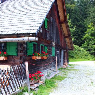 Zemljevid