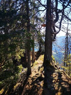 Foto von ChasquiRunner entlang der Tour