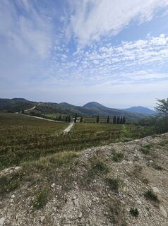 Photo de Eli le long du parcours