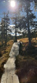 Foto von Raimund Aigner entlang der Tour