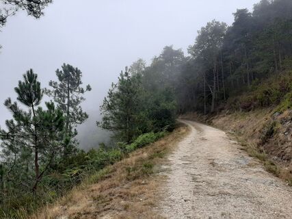 Foto von Niek Abbes entlang der Tour