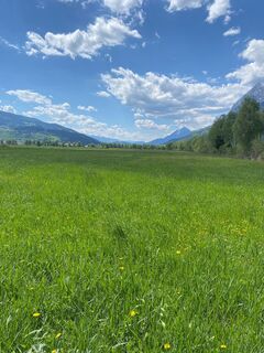 IMG-20250502-WA0033.jpg