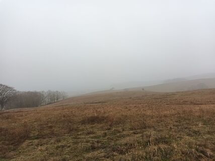 Foto von Marga entlang der Tour