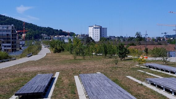 Fotografija s spletne strani Robert Bernhart na poti