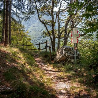 Die Landschaft wird zunehmend waldiger