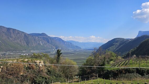 Photo de Désirée Polz le long du parcours