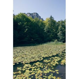 Thumsee-Gesundheitsweg