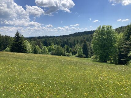 Foto von Moonytiger entlang der Tour